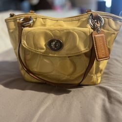 vintage coach     needs cleaning inside