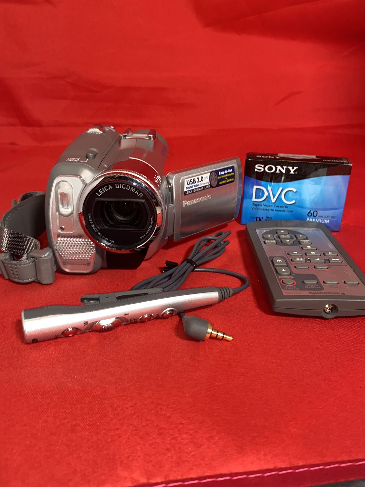 Panasonic PV-GS300 3.1MP 3CCD MiniDV Camcorder with 10x Optical Image Stabilized Zoom