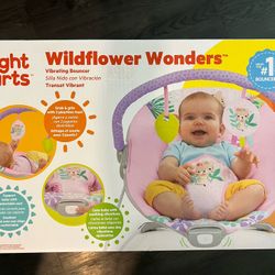 Bright Starts Bouncer 