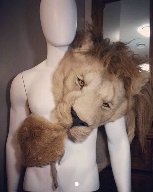 Lion sash| Coming to America| Rent/Buy