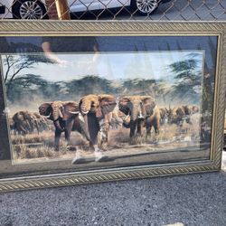 Frame