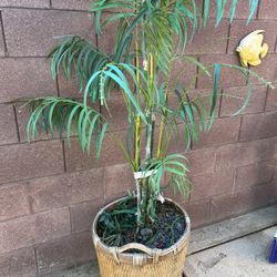 Artificial Palm Tree