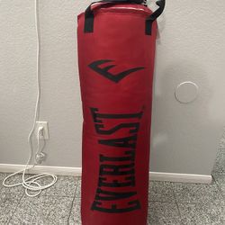 Everlasting Punching Bag 