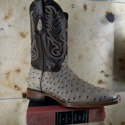 Tan Hometown im  Ostrich Boot