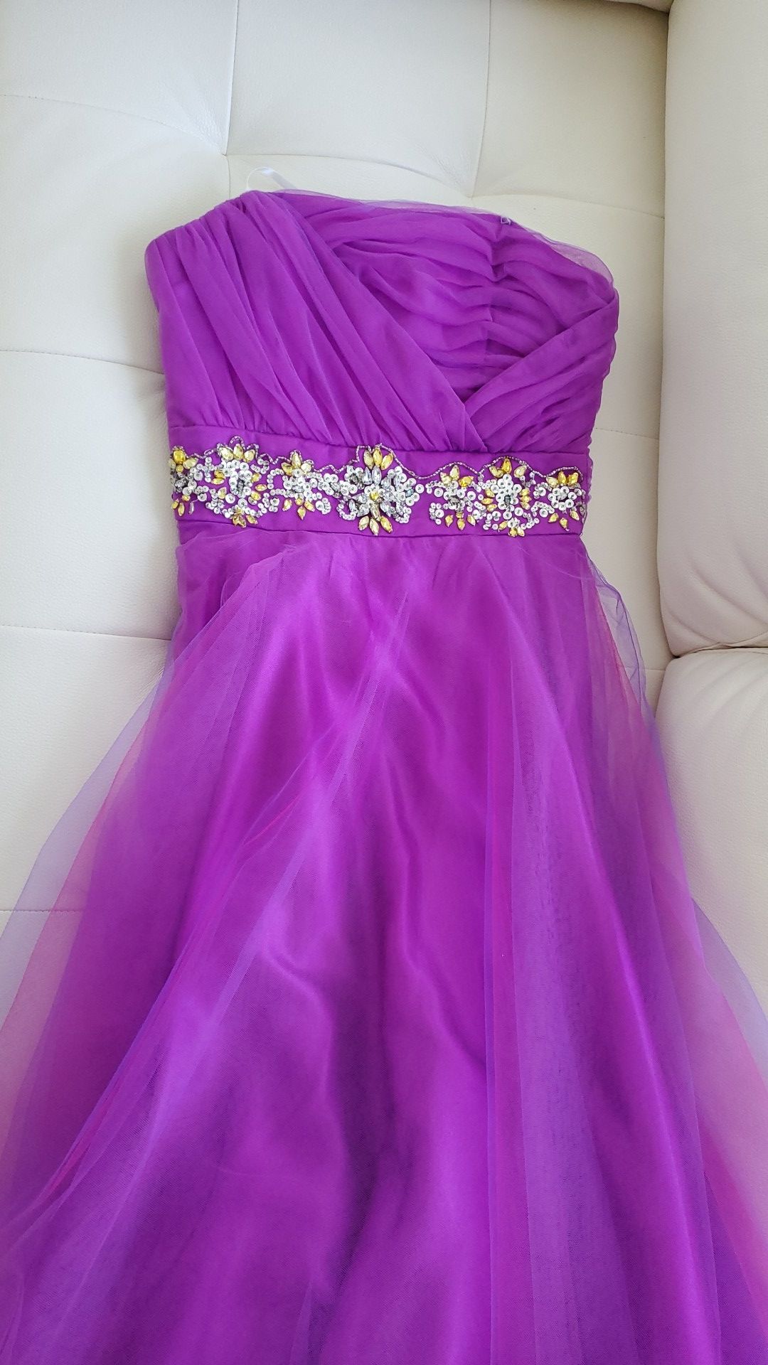 Quinceanera/Prom/Bat Mitzvah Dress