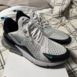 Nike Air Max 270 Dust Cactus Size 13