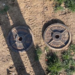 Standard 35lbs Barbell