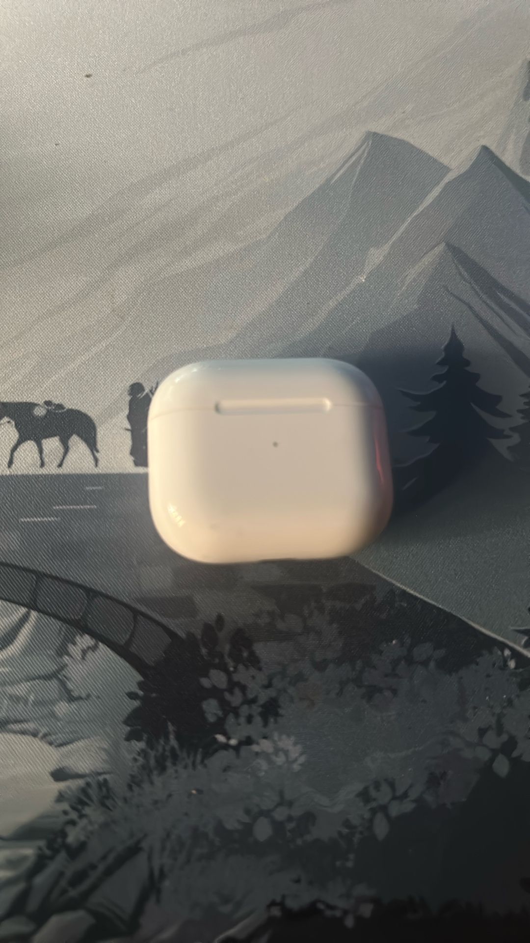 airpod case