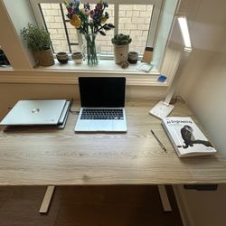 FLEXISPOT Standing Desk Electric 48 x 24 Inches (White Frame + 48" Grey Wood Grain)