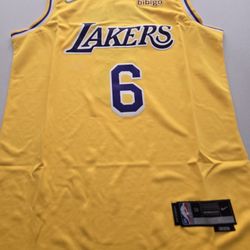 NBA Lakers LeBron James jersey number 6