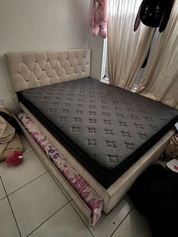 Bed frame queen and twin xl