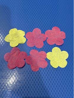 Midnight Sun Tour Confetti Zara Larsson Merch Confetti Concert confetti pop musi