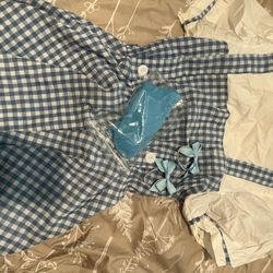 Dorothy Wizard Or Oz Costume