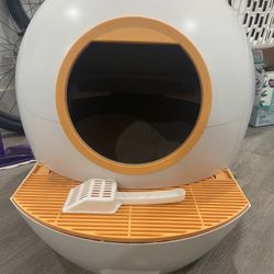 Automatic Litter Box