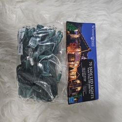 Wintergreen 70 5MM LED LIGHTS 