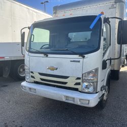 Remplazo De Parabrisas En El Área De Tampa 