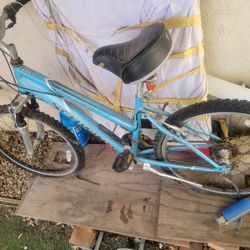 Bike Schwinn 24" Or 26" Size