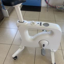 Exercise Bike: Flexispot 