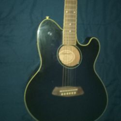 Ibanez Acoustic Electric Guitar 