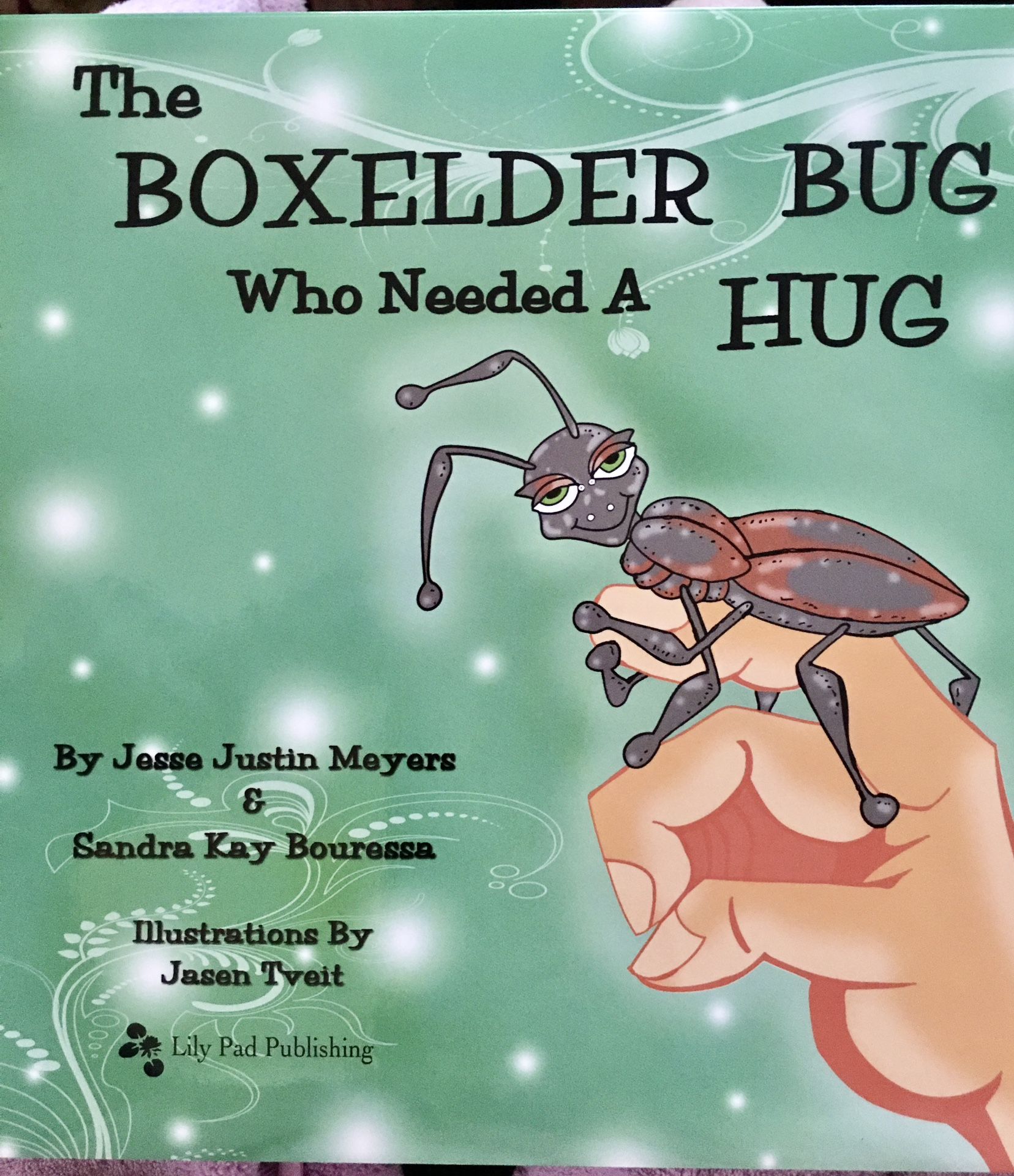 The Boxelder bug who needed a hug