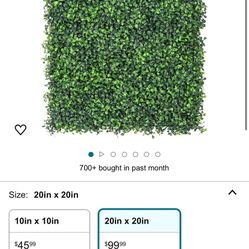Wall Grass