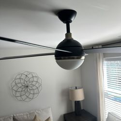 56in Black Fan W/Gold Trim 
