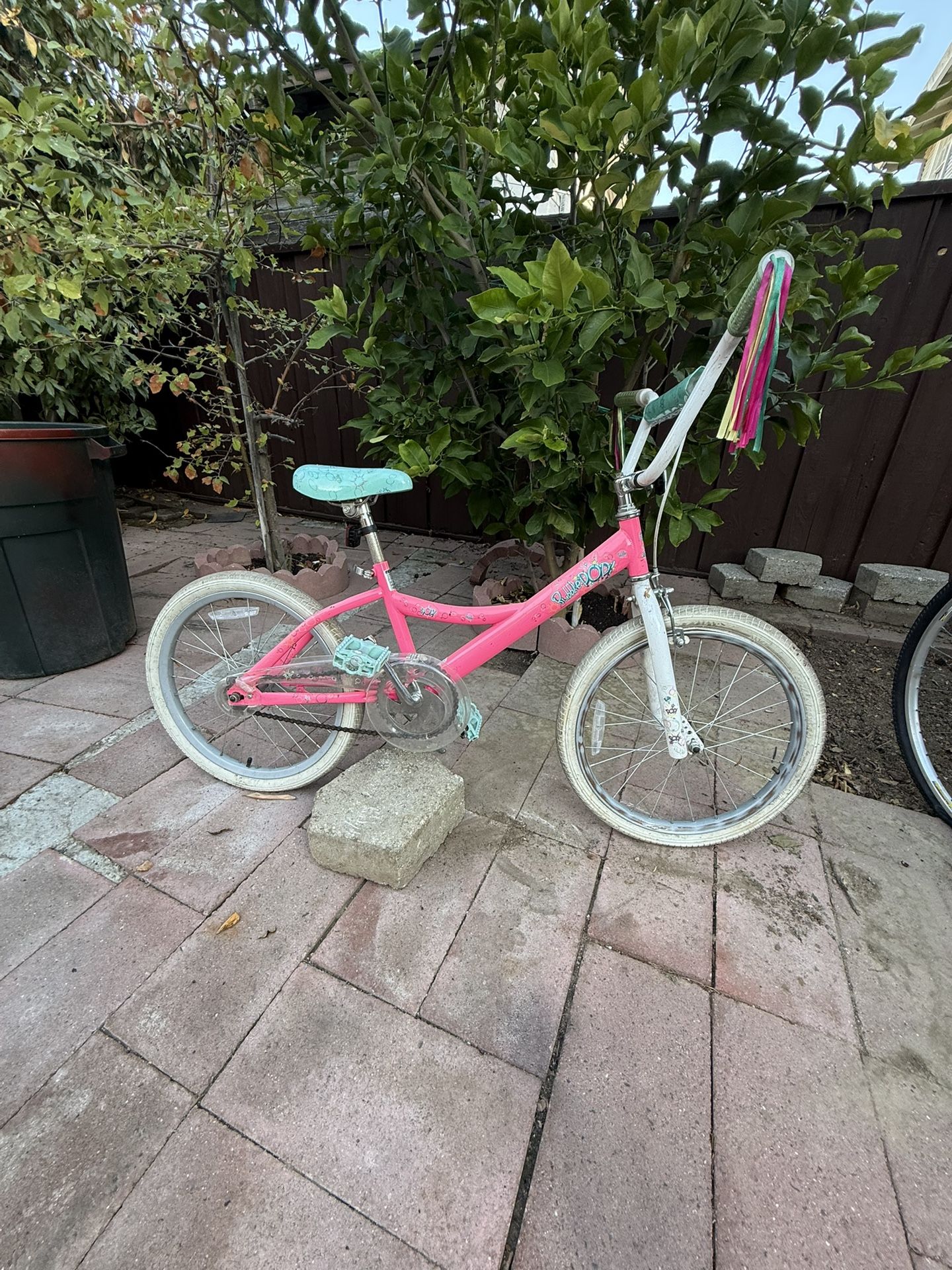 Girl bike 20”