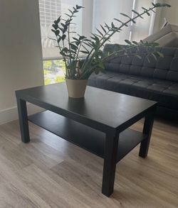 Contemporary Coffee Table