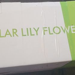 Solar Lily Flower Lights