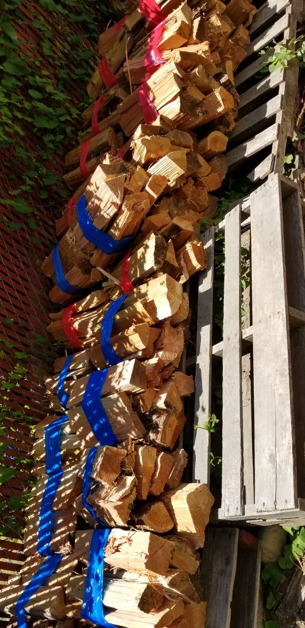 Bundles of dry-seasoned firewood (Ask about delivery)