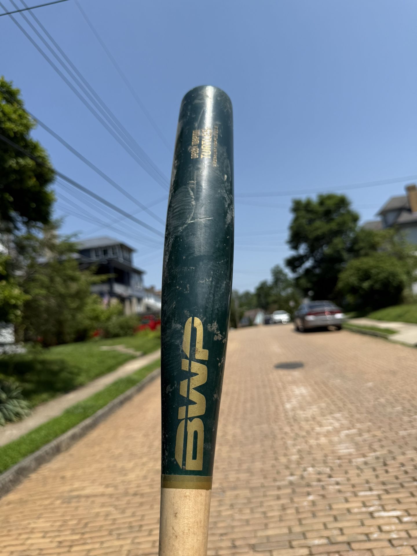 BWP Torpedo Bat and Gamer Maple Bat
