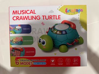 Musical Crawling Turtle Toy