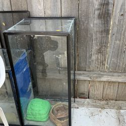 40 gallon tank 