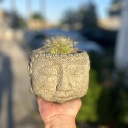 BUDDHA planter With Cactus
