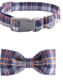 Cat Dog pet Collar ( Da Gap) - SHIPPING ONLY- NO EXCEPTIONS