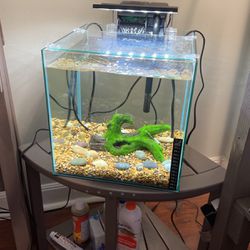 Rimless Fish Tank 