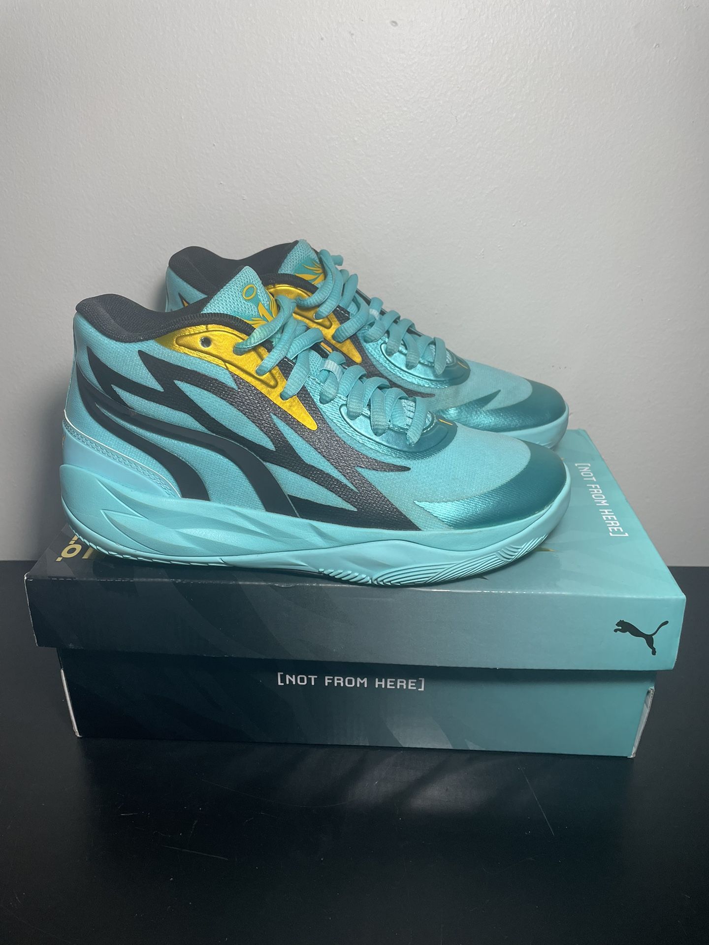 Lamelo Ball Shoes