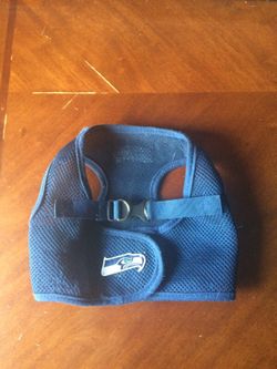 Large chihuahua dog Seahawks top