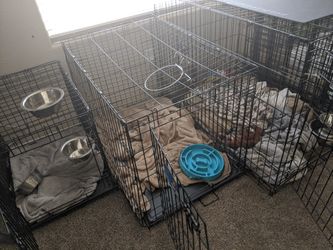 Dog Kennel- 24x36x22