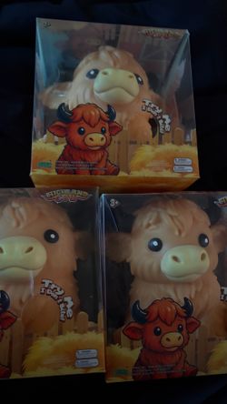 highland cow