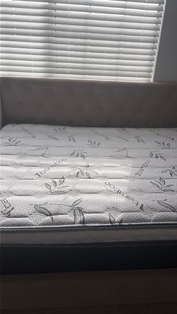 Cama