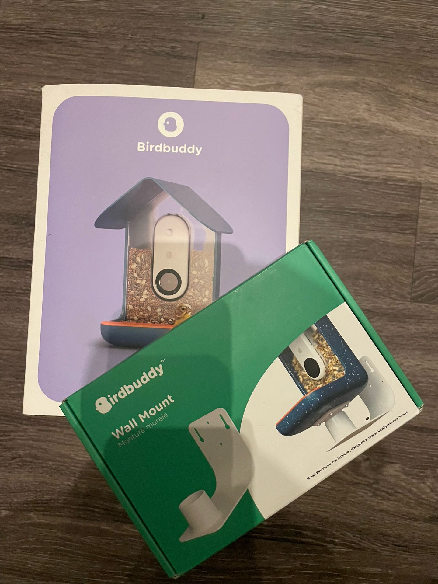 Bird Buddy+Wall Mount