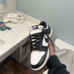 Panda dunks, photo blues