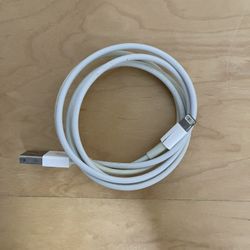 Genuine OEM Apple - 3.3' USB Type A-to-Lightning Charging Cable - White, 1 meter