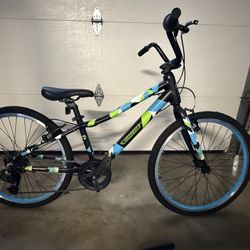 Guardian 24” Bike (LIKE NEW)