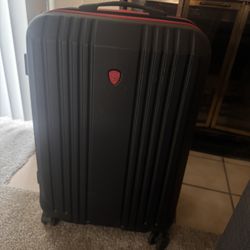 Check-in Luggage