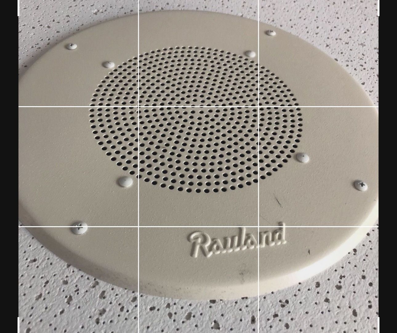 Vegas Rauland Speakers in 2x2 Ceiling Tile