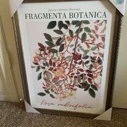 Large Botanical Print 