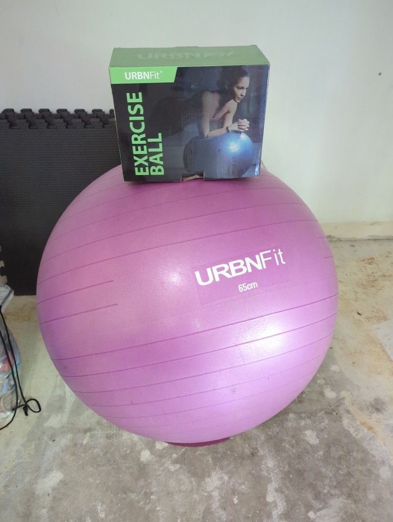Free Exercise Ball 65cm