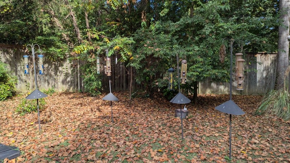 Bird Feeder Metal Poles & Feeders
